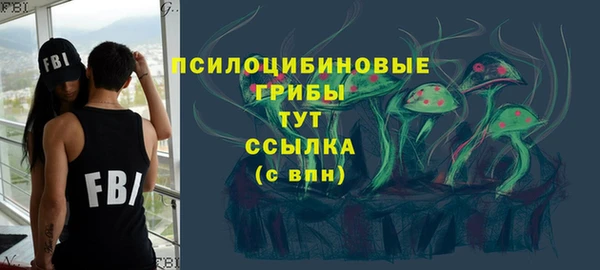 СК Верхний Тагил