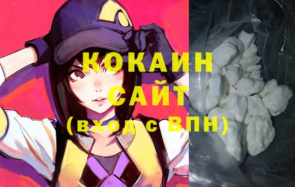 прущие грибы Верея