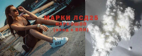 прущие грибы Верея